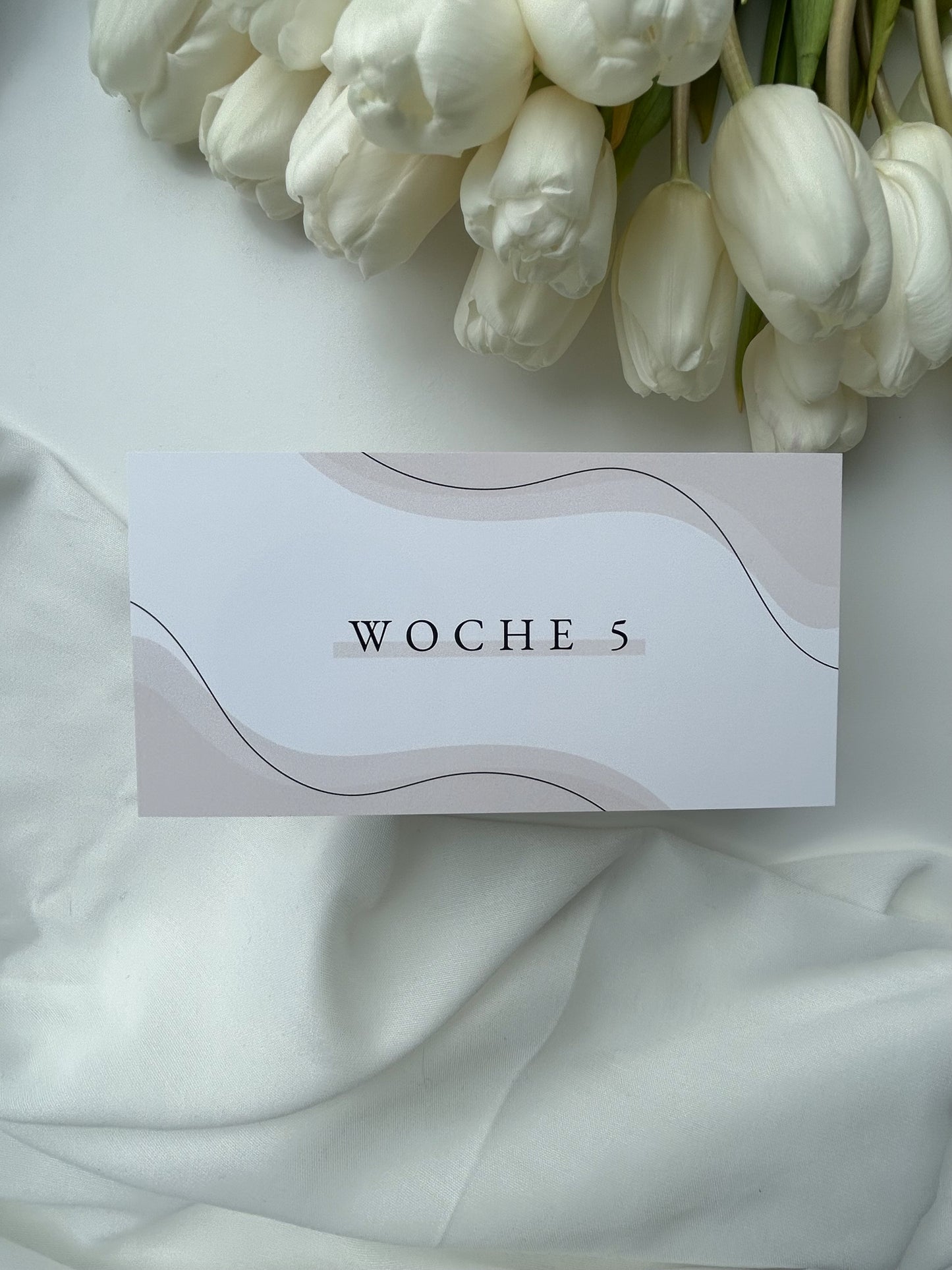 Dashboards Wochenbudget | für A6 Umschläge